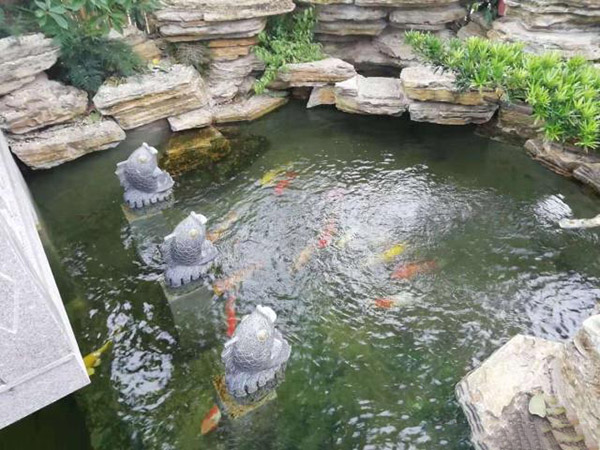 別墅花園設(shè)計里添加個魚池設(shè)計怎么樣？