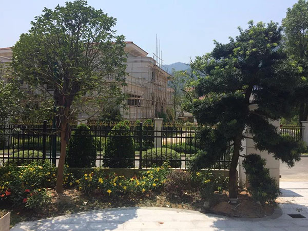 設計施工一體化，促進庭院方案完美落地