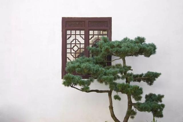 驚艷世界的中式庭院，美哭了！